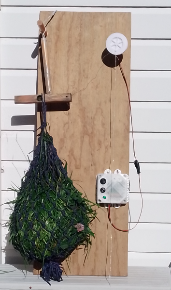 Lush grasslands in Waikato